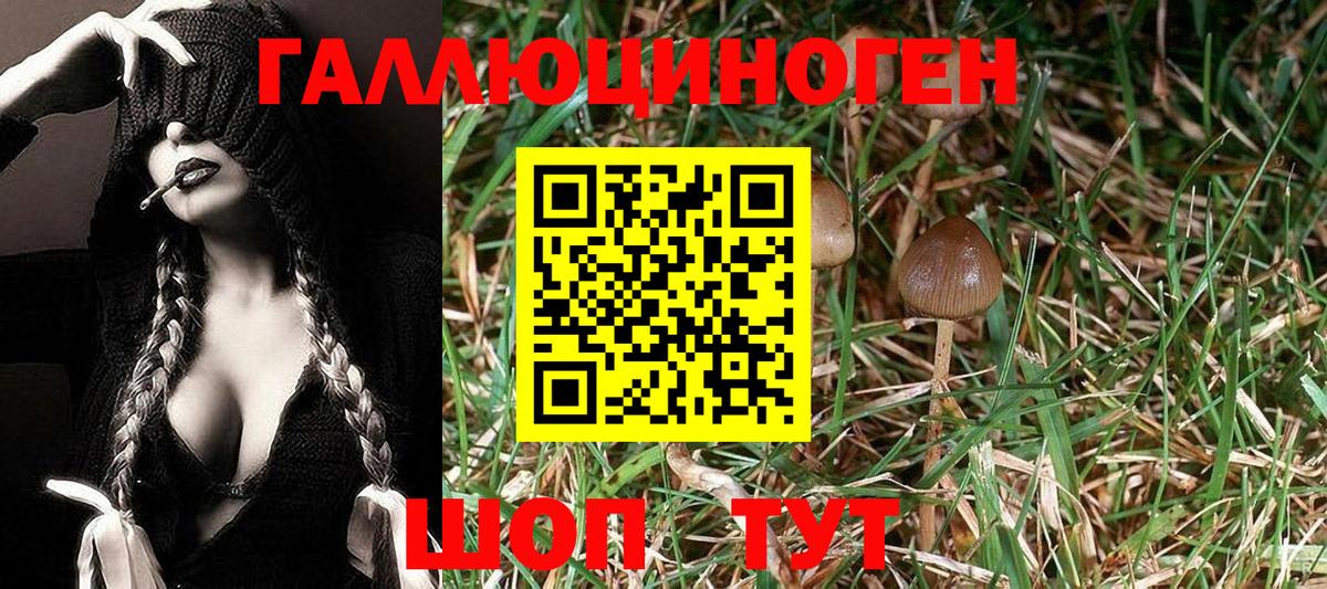 Южно-Сахалинск  Псилоцибиновые грибы Cubensis  Вход с VPN 